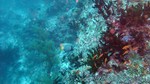 Reethi2011-0452.jpg