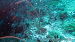 Reethi2011-0454.jpg