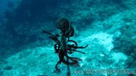 Reethi2011-0456.jpg