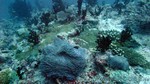 Reethi2011-0460.jpg