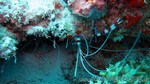 Reethi2011-0494.jpg