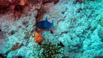 Reethi2011-0499.jpg