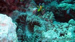 Reethi2011-0501.jpg
