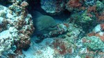 Reethi2011-0505.jpg