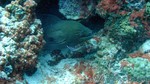 Reethi2011-0506.jpg
