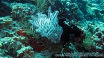 Reethi2011-0511.jpg