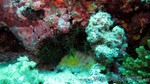 Reethi2011-0513.jpg