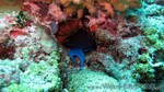 Reethi2011-0514.jpg