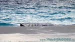 Reethi2011-0541.jpg