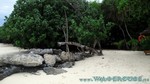 Reethi2011-0561.jpg