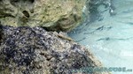 Reethi2011-0562.jpg