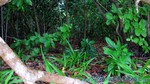 Reethi2011-0577.jpg