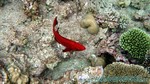 Reethi2011-0596.jpg
