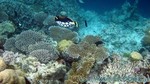 Reethi2011-0601.jpg