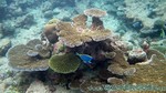 Reethi2011-0606.jpg