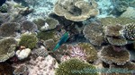 Reethi2011-0609.jpg