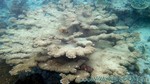 Reethi2011-0612.jpg