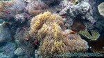 Reethi2011-0615.jpg