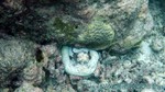 Reethi2011-0616.jpg