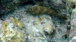 Reethi2011-0617.jpg