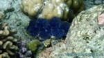 Reethi2011-0620.jpg