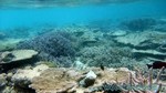 Reethi2011-0621.jpg