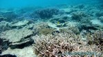 Reethi2011-0622.jpg
