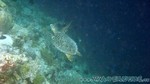 Reethi2011-0624.jpg