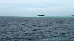Reethi2011-0629.jpg