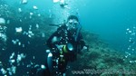 Reethi2011-0656.jpg