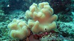 Reethi2011-0670.jpg