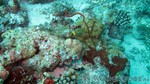 Reethi2011-0672.jpg