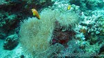 Reethi2011-0676.jpg