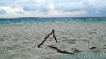 Reethi2011-0680.jpg