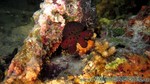 Reethi2011-0706.jpg