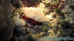Reethi2011-0717.jpg