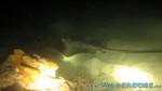 Reethi2011-0724.jpg