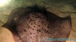 Reethi2011-0726.jpg
