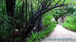 Reethi2011-0733.jpg