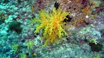Reethi2011-0746.jpg
