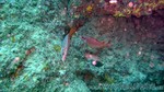 Reethi2011-0749.jpg