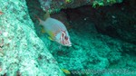 Reethi2011-0752.jpg