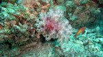 Reethi2011-0758.jpg