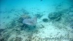 Reethi2011-0778.jpg