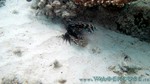 Reethi2011-0787.jpg