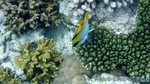 Reethi2011-0812.jpg