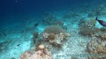 Reethi2011-0814.jpg