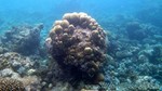 Reethi2011-0822.jpg