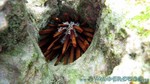 Reethi2011-0823.jpg