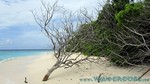 Reethi2011-0852.jpg